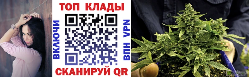 Как найти наркотики Новосиль Галлюциногенные грибы  Амфетамин  МЕФ  Cocaine  Гашиш 