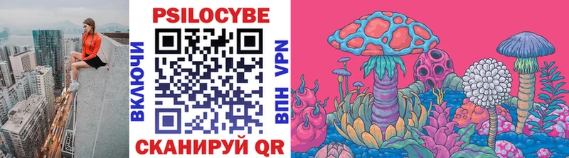 где купить наркоту Новосиль Галлюциногенные грибы Cubensis